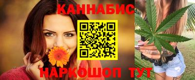 сатива Кимры