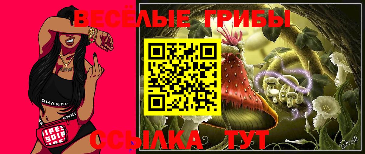 Псилоцибиновые грибы мицелий  Вход с VPN  Строитель 